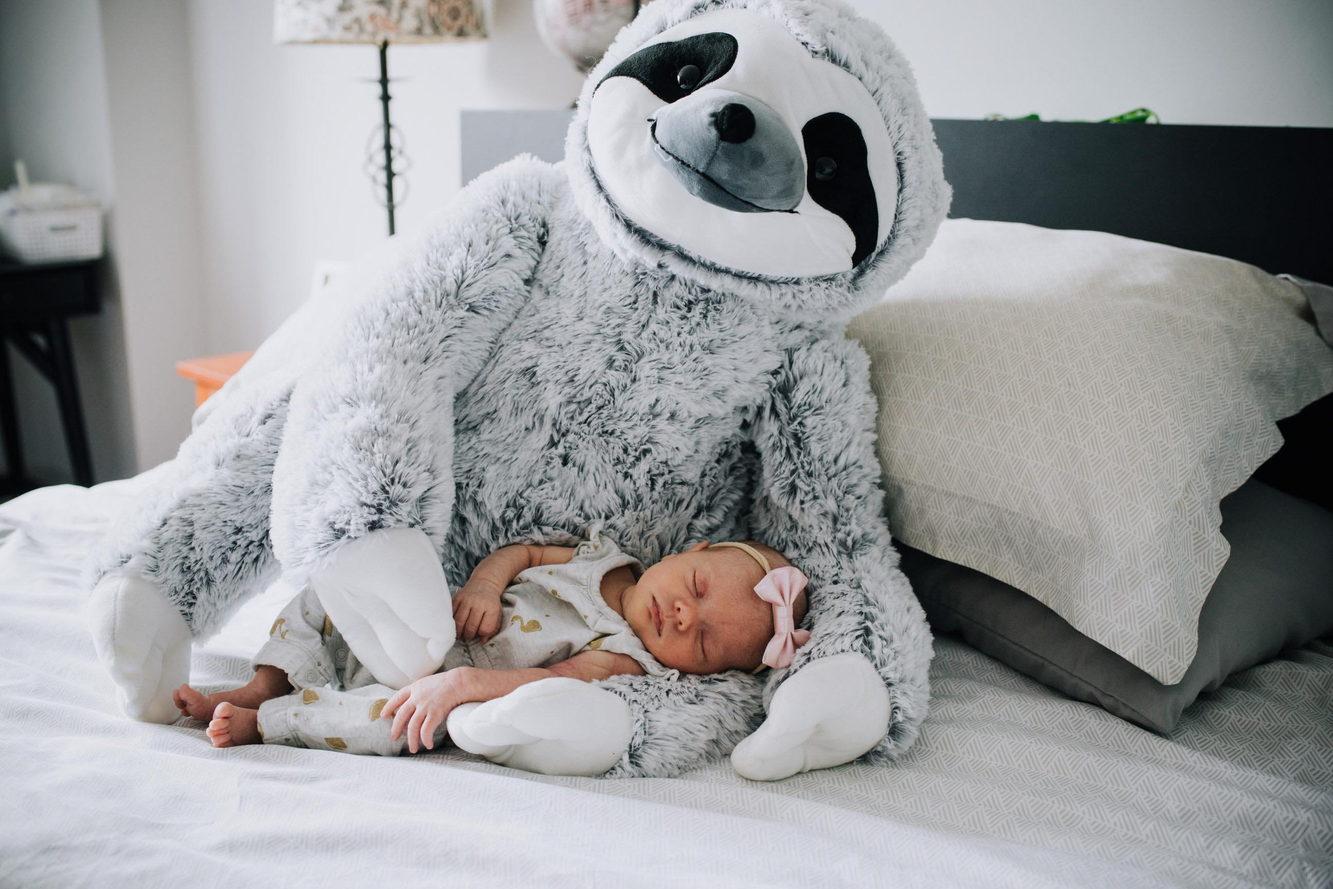 Persky Family Session, photograph 1 of 15
