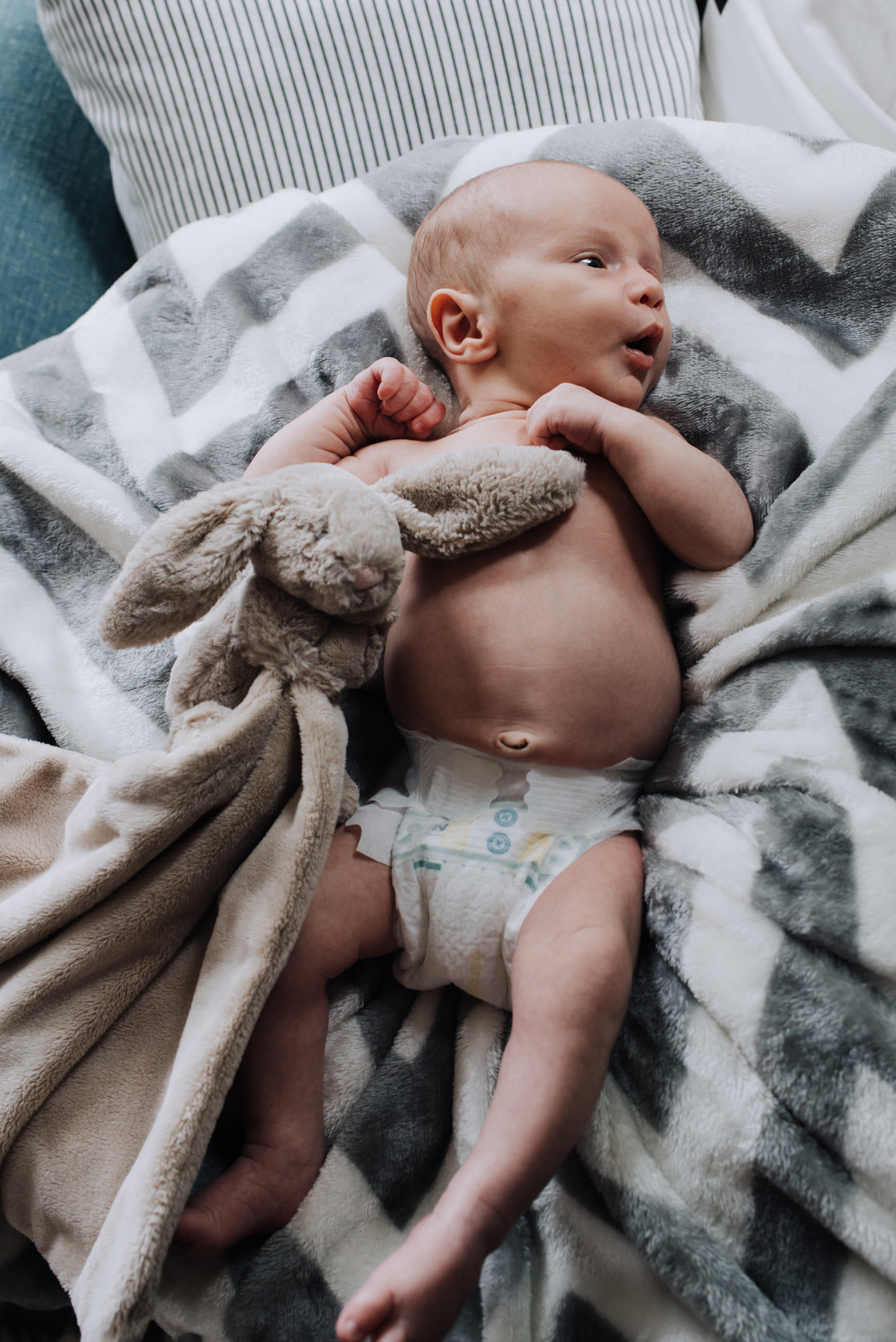 Wilder Ray Family Session, photograph 14 of 15